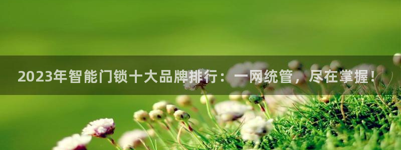 开丰娱乐左7O667：2023年智能门锁十大品牌排行：一网统