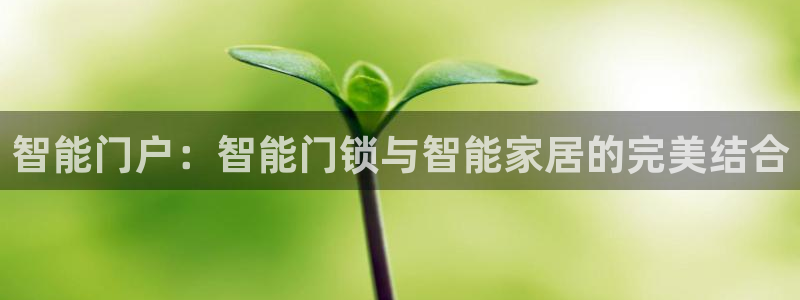 开丰娱乐官网登录平台：智能门户：智能门锁与智能家居的完美结合