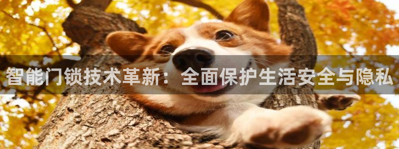 开丰娱乐登入地址在哪查：智能门锁技术革新：全面保护生活安全与