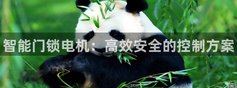 开丰娱乐网站官网入口：智能门锁电机：高效安全的控制方案