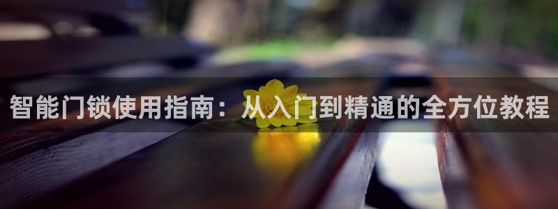 开丰娱乐官网登录平台：智能门锁使用指南：从入门到精通的全方位