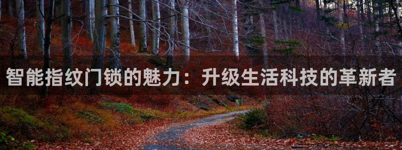 开丰娱乐：智能指纹门锁的魅力：升级生活科技的革新者