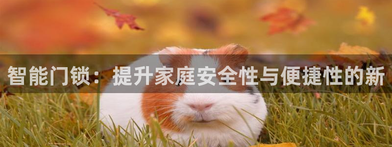 开丰娱乐咋7O777：智能门锁：提升家庭安全性与便捷性的新