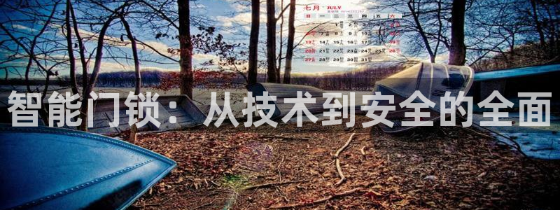开丰娱乐网站官网首页：智能门锁：从技术到安全的全面