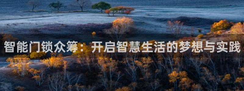 开丰娱乐登入地址在哪：智能门锁众筹：开启智慧生活的梦想与实践