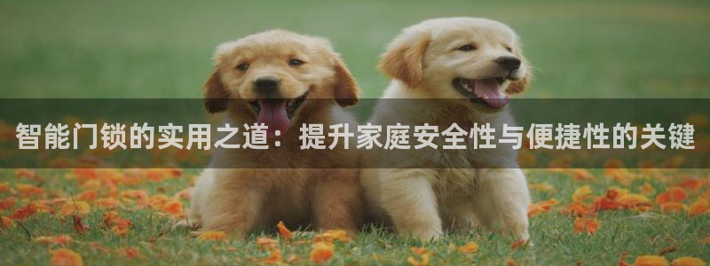 开丰娱乐官网平台登录：智能门锁的实用之道：提升家庭安全性与便