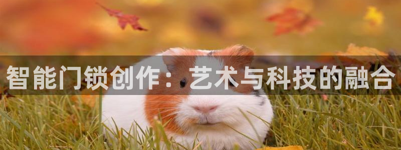 开丰娱乐登入地址在哪儿：智能门锁创作：艺术与科技的融合