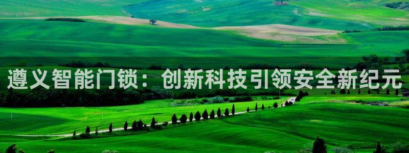 开丰娱乐登入地址在哪儿：遵义智能门锁：创新科技引领安全新纪元