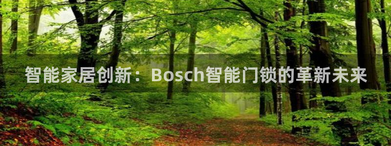 开丰娱乐更多平台：智能家居创新：Bosch智能门锁的革新未来