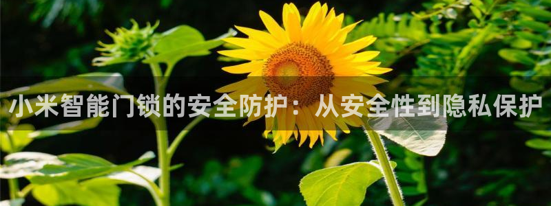 开丰娱乐网站：小米智能门锁的安全防护：从安全性到隐私保护