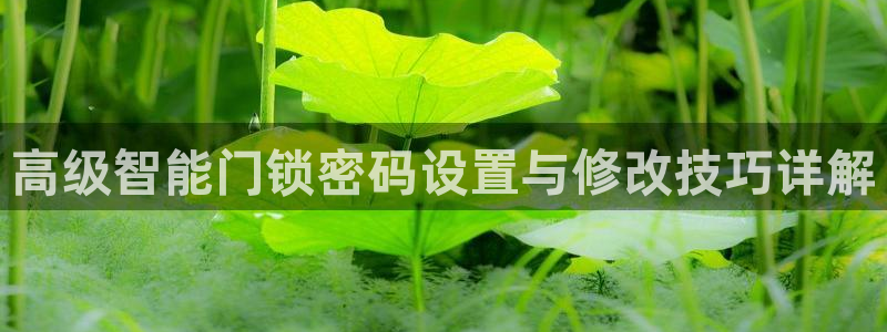 开丰娱乐网址：高级智能门锁密码设置与修改技巧详解