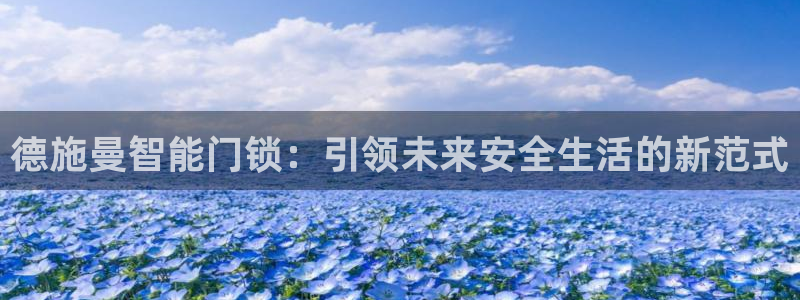 开丰娱乐网站官网下载：德施曼智能门锁：引领未来安全生活的新范