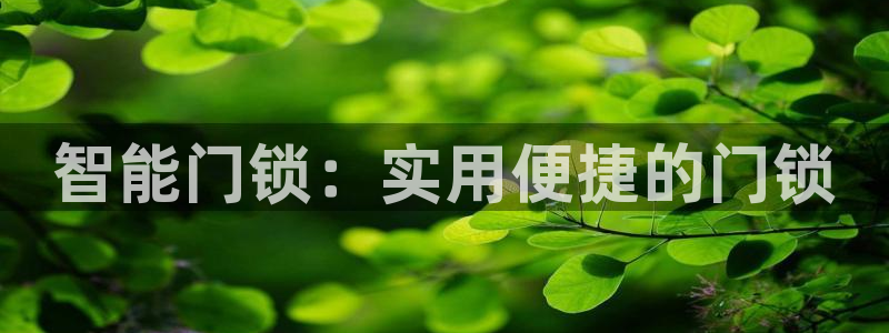 开丰娱乐线路：智能门锁：实用便捷的门锁