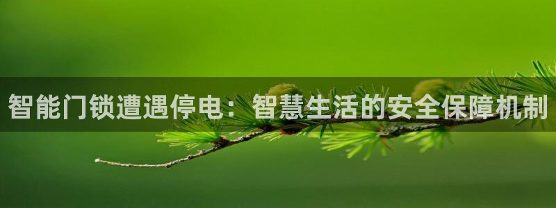 开丰娱乐网址：智能门锁遭遇停电：智慧生活的安全保障机制