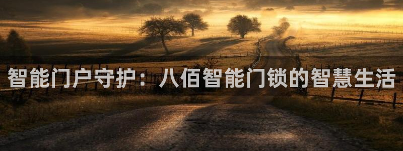 开丰娱乐左：智能门户守护：八佰智能门锁的智慧生活