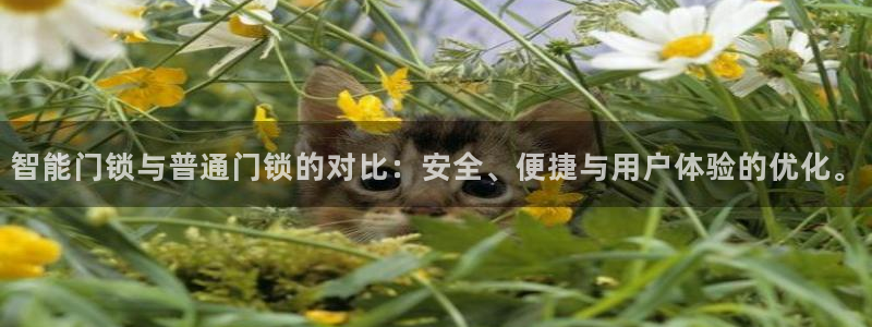 如何注册开丰娱乐账号：智能门锁与普通门锁的对比：安全、便捷与