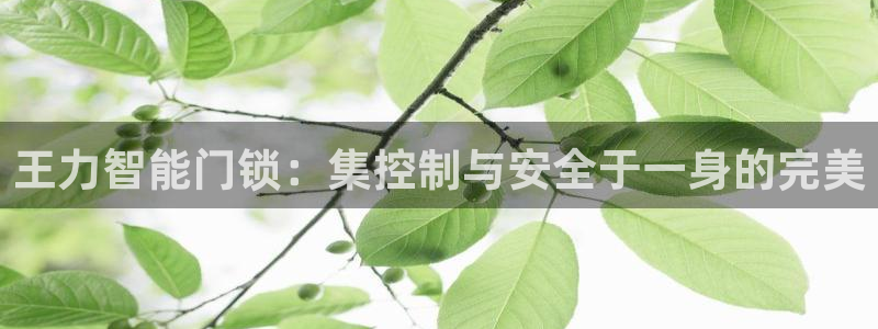 开丰娱乐登录平台下载：王力智能门锁：集控制与安全于一身的完美