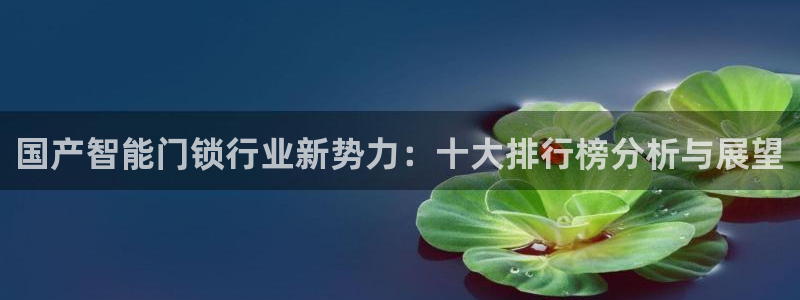 开丰娱乐平台地址：国产智能门锁行业新势力：十大排行榜分析与展