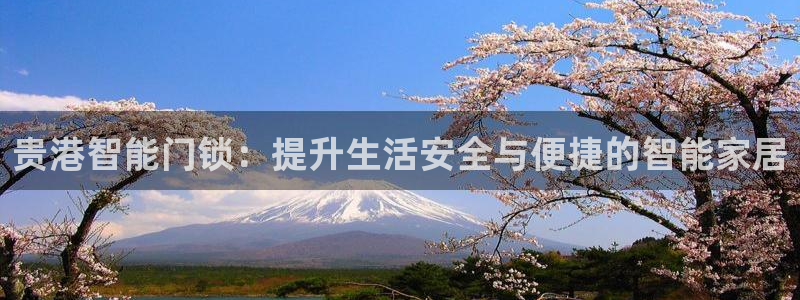 开丰娱乐姜333OO：贵港智能门锁：提升生活安全与便捷的智能