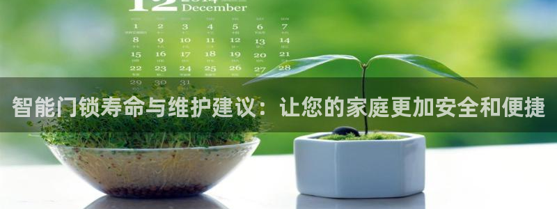 开丰娱乐行业恢复时间：智能门锁寿命与维护建议：让您的家庭更加