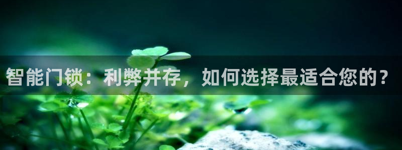 开丰娱乐网站：智能门锁：利弊并存，如何选择最适合您的？