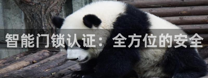 开丰娱乐天：智能门锁认证：全方位的安全