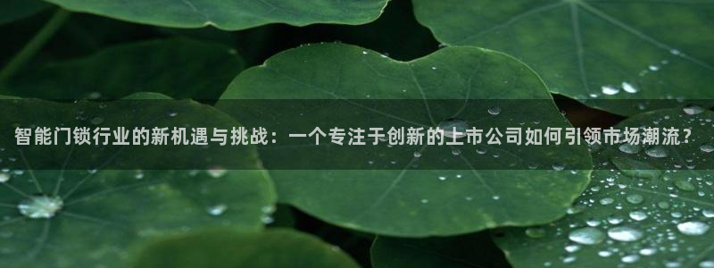 开丰娱乐app：智能门锁行业的新机遇与挑战：一个专注于创新的