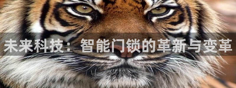 开丰娱乐下7O667：未来科技：智能门锁的革新与变革