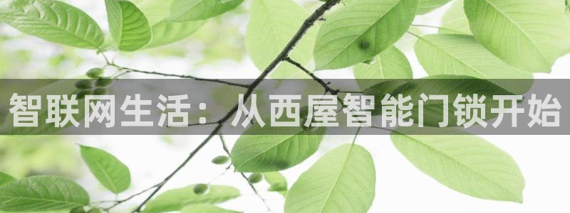 开丰娱乐于六七五一38：智联网生活：从西屋智能门锁开始