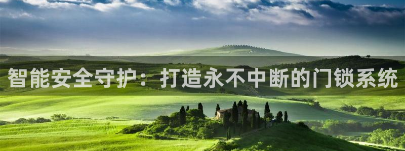 开丰娱乐怎么样：智能安全守护：打造永不中断的门锁系统