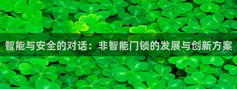 圩丰刚开的娱乐场所：智能与安全的对话：非智能门锁的发展与创新