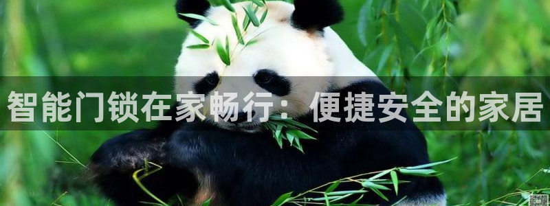 开丰娱乐平台地址：智能门锁在家畅行：便捷安全的家居