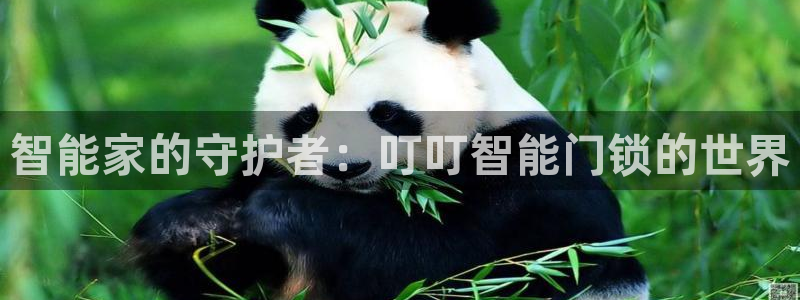 开丰娱乐登陆：智能家的守护者：叮叮智能门锁的世界