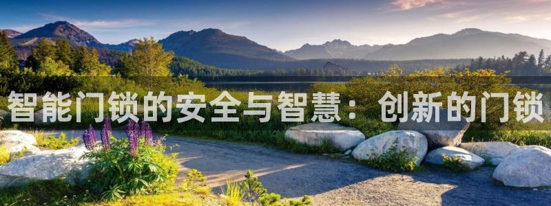 开丰娱乐登入地址在哪儿：智能门锁的安全与智慧：创新的门锁