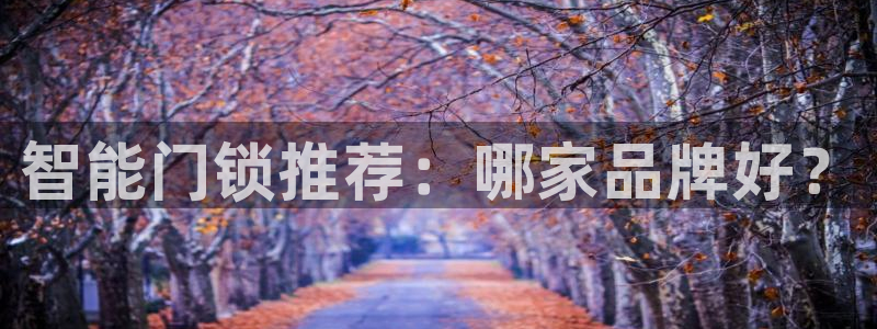 开丰娱乐网站官网：智能门锁推荐：哪家品牌好？