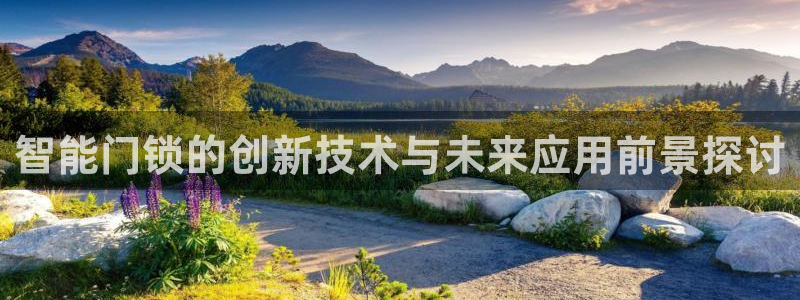 开丰娱乐网官网注册入口：智能门锁的创新技术与未来应用前景探讨