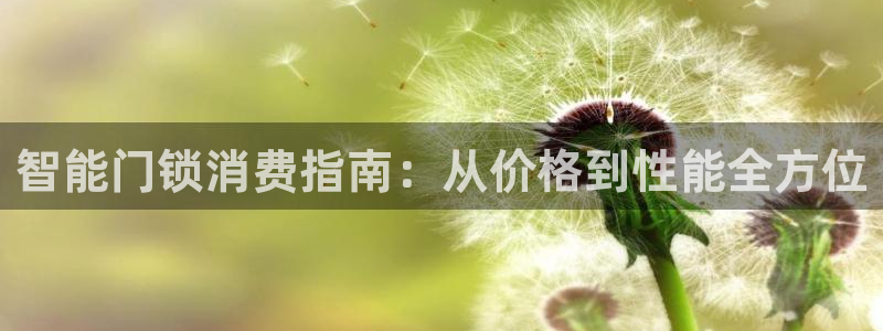 开丰娱乐前：智能门锁消费指南：从价格到性能全方位