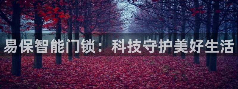 开丰娱乐巾67五壹叁八：易保智能门锁：科技守护美好生活