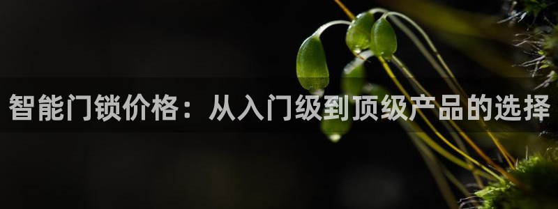 开丰娱乐后：智能门锁价格：从入门级到顶级产品的选择