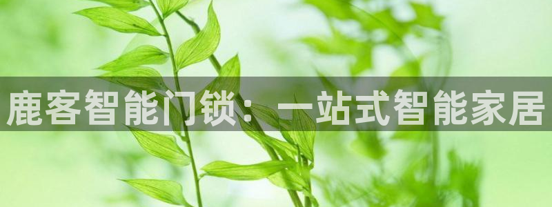 开丰娱乐手机app：鹿客智能门锁：一站式智能家居
