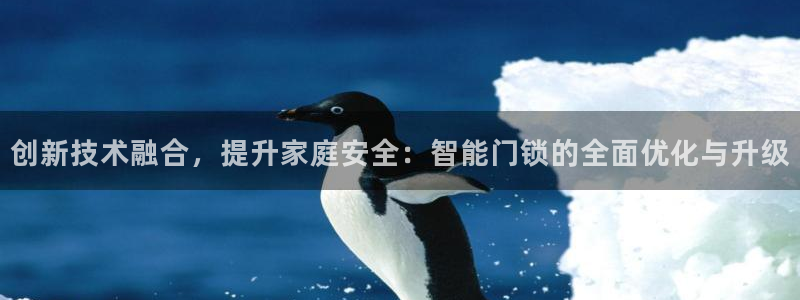 开丰娱乐平台注册地址：创新技术融合，提升家庭安全：智能门锁的