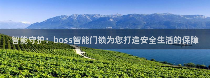 开丰娱乐与六七五一38：智能守护：boss智能门锁为您打造安