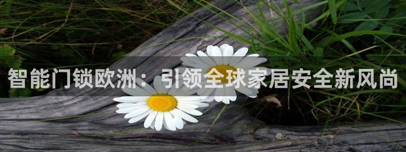 开丰娱乐官网平台：智能门锁欧洲：引领全球家居安全新风尚