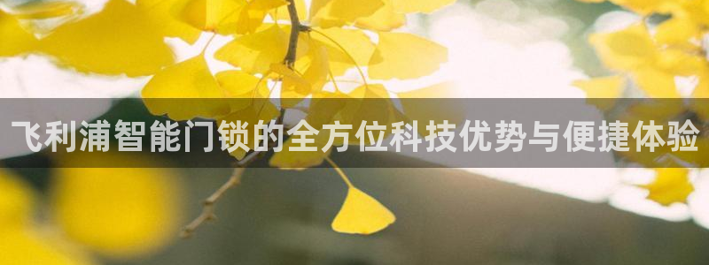 开丰娱乐后：飞利浦智能门锁的全方位科技优势与便捷体验