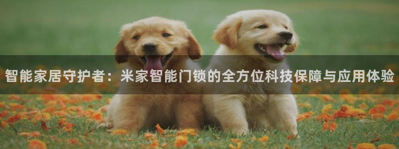 开丰娱乐平台地址电话：智能家居守护者：米家智能门锁的全方位科