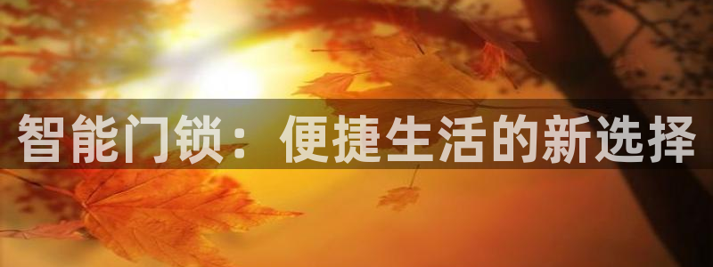 开丰娱乐登录官方网站：智能门锁：便捷生活的新选择