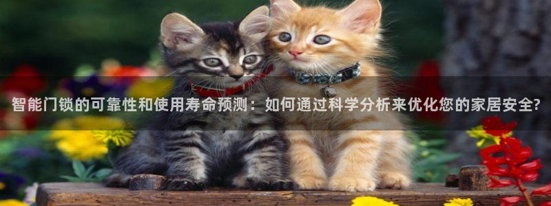 开丰娱乐天：智能门锁的可靠性和使用寿命预测：如何通过科学分析