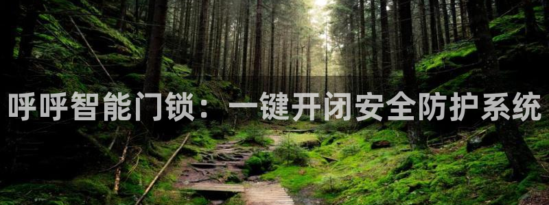 开丰娱乐开户：呼呼智能门锁：一键开闭安全防护系统