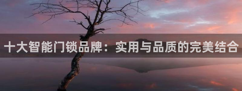 开丰娱乐67 5138：十大智能门锁品牌：实用与品质的完美结