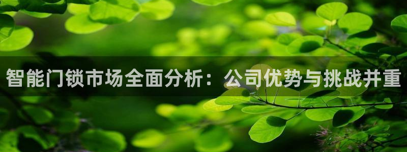 开丰娱乐联系q徽22212：智能门锁市场全面分析：公司优势与